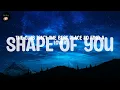 Ed Sheeran ~ Shape of You ~ Lyrics