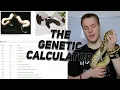 WOB Genetic Calculator for Ball Python s