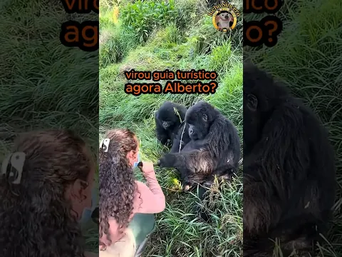 Esse GORILA tá com a MACACA❕🦍💚🙅
