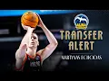 Download Lagu New Transfer - Martynas Echodas to ALBA BERLIN | Player Highlights | #BasketballCL 2025-26