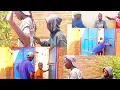 Download Lagu NEKI YOU: umwana ugendana imbunda mumuhanda 