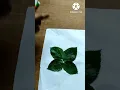 activities for preschool kids animal for kids