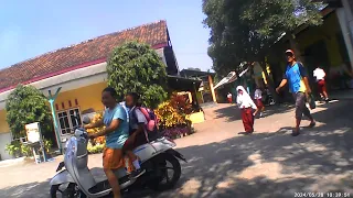                                                                                         دندنها
