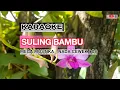 Download Lagu Karaoke Suling bambu mega mustika dangdut original | suasana baru musik