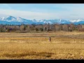 Living in Broomfield CO The Ultimate Local Guide Homes com