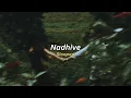 Nadhive (slowed) - Hesham Abdul Wahab, Garima Obrah [090226]