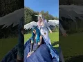 Princess Luna and Princess Celestia