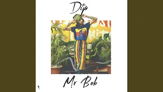 mr bob