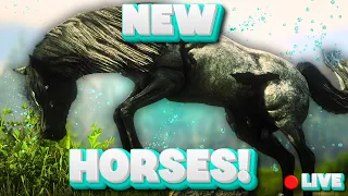 NEW HORSES Red Dead Online