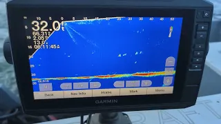 Garmin Livescope using 360 flashers trolling for Summer Chinook Drano Lake