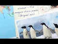 Fire Penguin REMIX