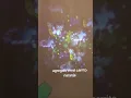Download Lagu https://vt.tiktok.com/ZSHWjmrdD6MAg-rbPzS/ que esperas para descargar tik tok shop