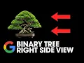 Binary Tree Right Side View - 199 LeetCode