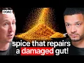 Lagu The Poo Doctor: This Cheap Spice Fixes A Damaged Gut!
