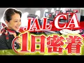 Lagu JALのCAに1日密着！普段は見られない裏側が明らかに…