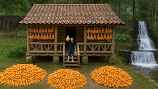 Building life in a Wooden house: Harvesting corn, gardening, bamboo fence