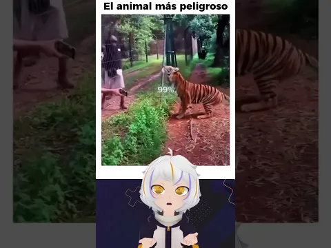 El Animal Mas Peligroso