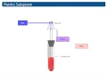 Intro to Flow Cytometry