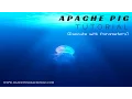 Apache Pig Tutorial - Execute with Parameters