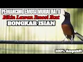 Download Lagu PANCINGAN MURAI BATU AUTO EMOSI MEMANCING MURAI BATU LAIN IKUT BONGKAR ISIAN