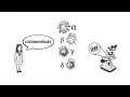 Download Lagu What is Coronavirus - updated version from 2020/03/27