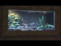 Blue Zoo Des Moines shutting down later this month