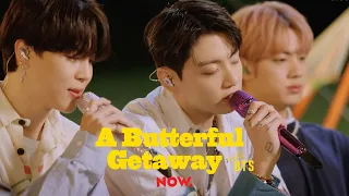 BTS 방탄소년단 봄날 Spring Day A Butterful Getaway With BTS 