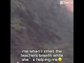 Fainting swan meme