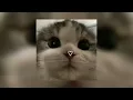 Download Lagu sorry - justin bieber (sped up)