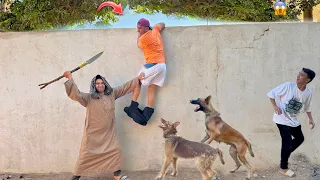 لما اخوك الصغير يروح يسرق منجا من جنينه الراجل يقفشهم 