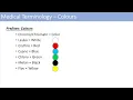 Medical Terminology The Basics Lesson 1