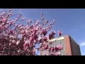 Ohio State Spring Break on Campus 2016