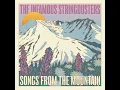 Black Rock - The Infamous Stringdusters