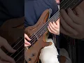 Download Lagu 3 unieke fretloze baskenmerken (waardoor hij opvalt) #shorts #fretlessbass #musicshorts