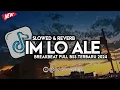 Download Lagu DJ IM LO ALE BREAKBEAT FULL BASS (SLOWED REVERB) TERBARU2024 🔥