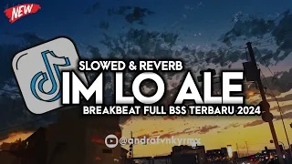 dj im lo ale breakbeat full bass slowed reverb terbaru2024 
