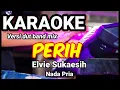Download Lagu PERIH - Elvie Sukaesih | Karaoke dut band mix nada pria | Lirik
