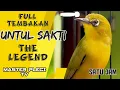 Download Lagu MASTERAN PLECI TEMBAKAN SANG LEGENDA JAWARA