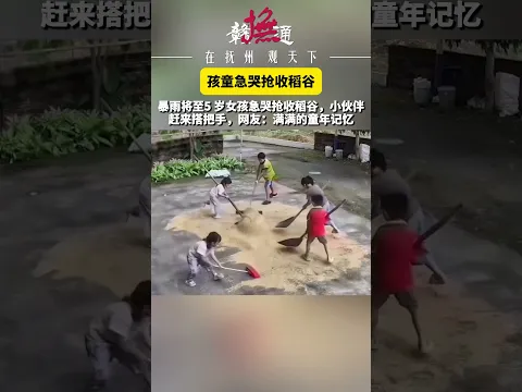 暴雨将至，5岁女孩急哭抢收稻谷。附近的小伙伴看到后自发赶来，一群年纪尚小的孩子没有大人指挥，争相动手收拢稻谷。#珍惜粮食 #农家真实瞬间 #孩童抢收稻谷