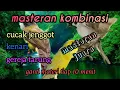 Download Lagu masteran kombinasi(cucak jenggot, kenari, gereja tarung)