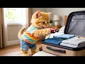 🐾 From the Joy of Travel to Heartwarming Moments: Memorable Trip for Kitten Family 🐱💖