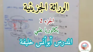 الوراثة الجزيئية الجزء2 بكالوريا علمي 