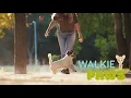 Pet sitter services in Baltimore Glen Burnie and Columbia Maryland