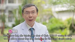 วัคซีนจุฬาฯ ป้องกันเชื้อโควิด-19 ได้จริงหรือไม่ และมีผลต่อสัตว์ทดลองอย่างไร