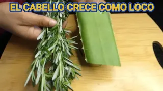 Secreto indio: El cabello crece desde la primera semana, hasta en zonas calvas! Detiene la caída