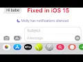 Notification Silenced Message on iPhone in iOS 15