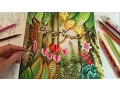 MAGICAL JUNGLE Adult Coloring Book by Johanna Basford Coloring With Colored Pencils