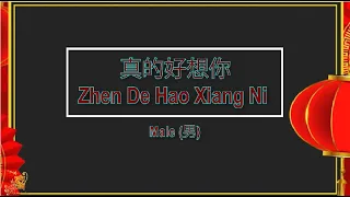 Download 真的好想你 (Zhen De Hao Xiang Ni) MaleVersion - Karaoke mandarin MP3