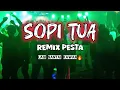 Download Lagu sopi tua x lagi santai kawan🔥 || Remix Gacor 2k24 || Risky Hard Rmxr