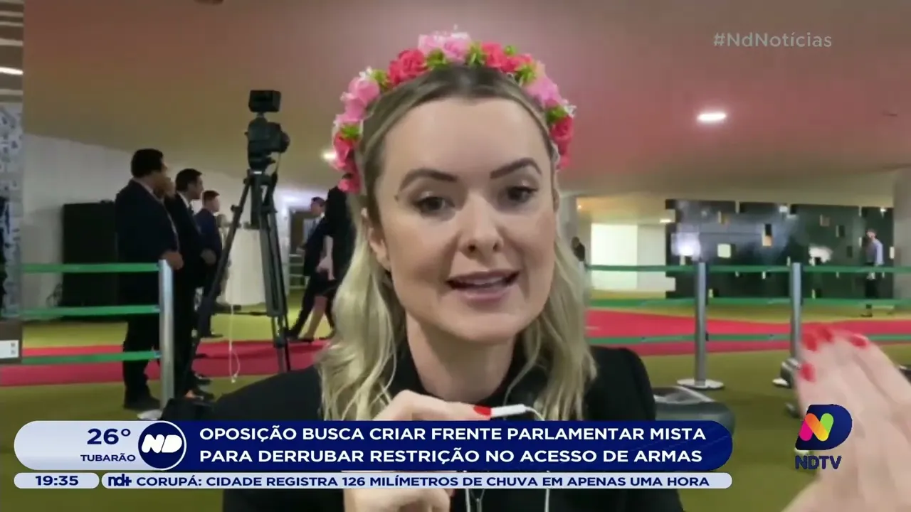 Confira as últimas articulações com relação ao BNDES e ao acesso às armas no Congresso Nacional